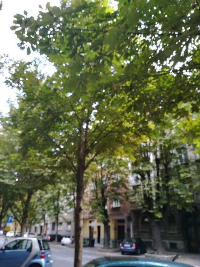Dreno Apartman Zagreb Bagian luar foto